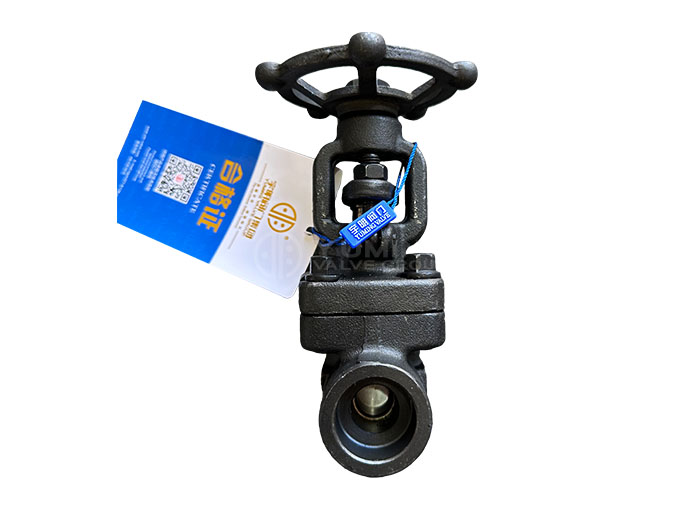Forged Steel Gate Valve