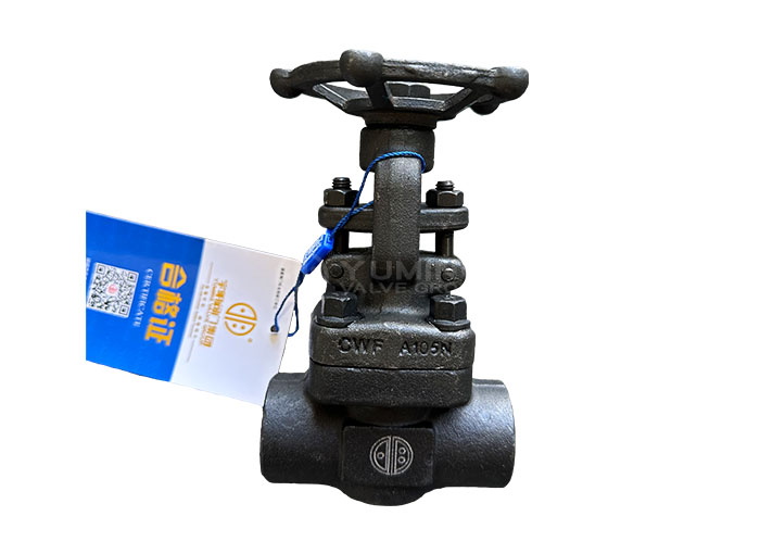 Forged Steel Gate Valve