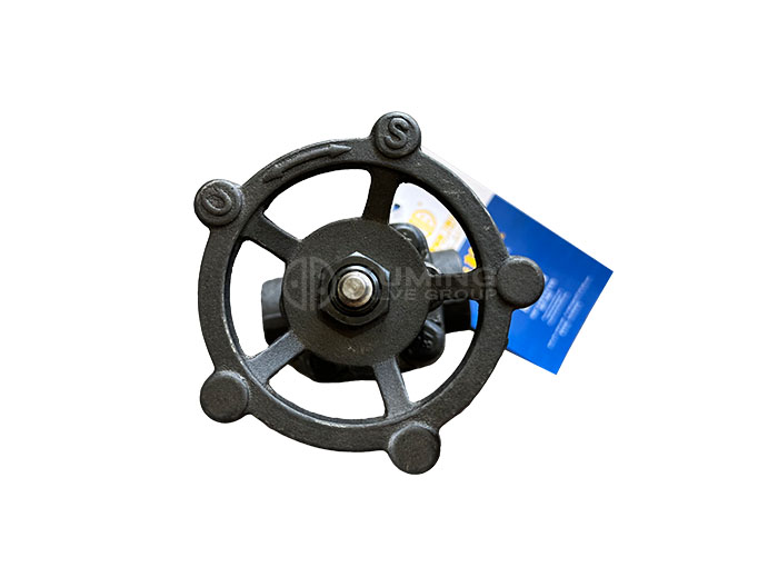 Forged Steel Gate Valve