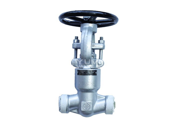High-pressure self-sealing Globe valve F22