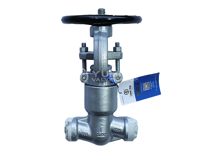 High-pressure self-sealing Globe valve F22