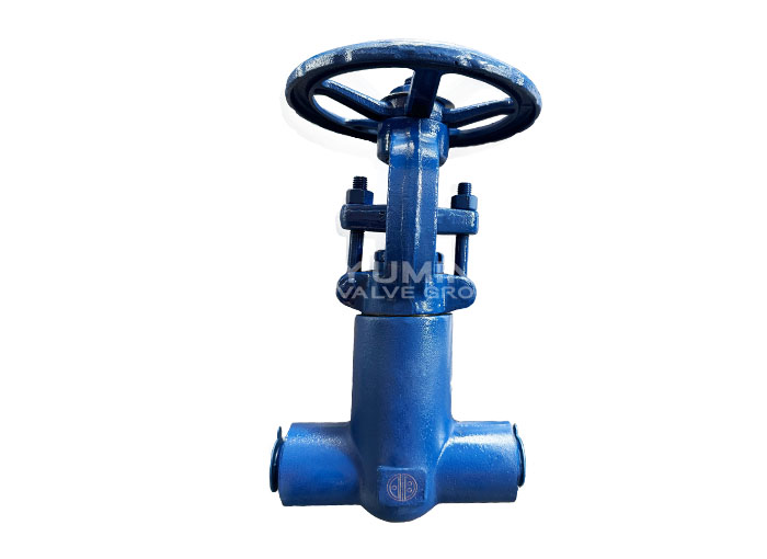 API 602 Bellows Pressure Seal Gate Valve F22