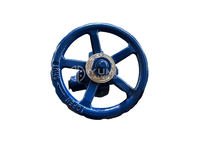 API 602 Bellows Pressure Seal Gate Valve F22