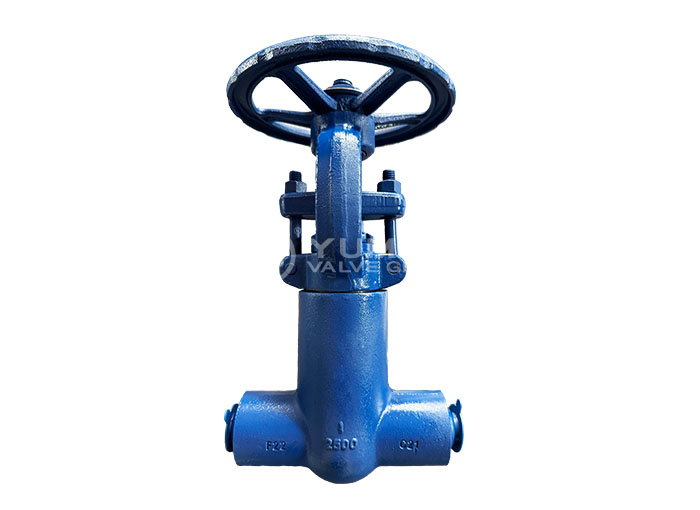 API 602 Bellows Pressure Seal Gate Valve F22