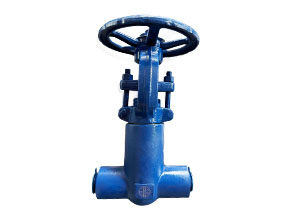 API 602 Bellows Pressure Seal Gate Valve F22
