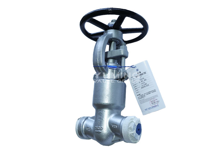 High-pressure self-sealing Globe valve F22