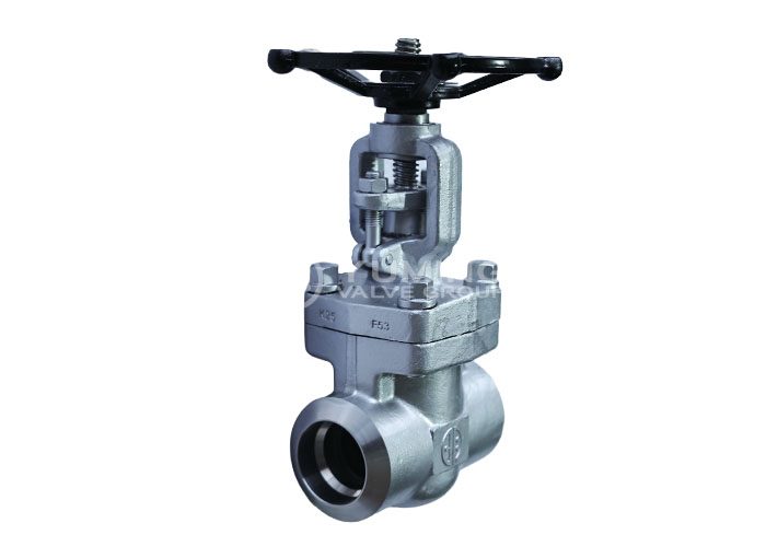Forged Steel Gate Valve