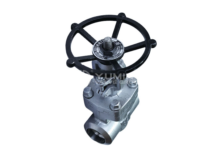 Forged Steel Gate Valve