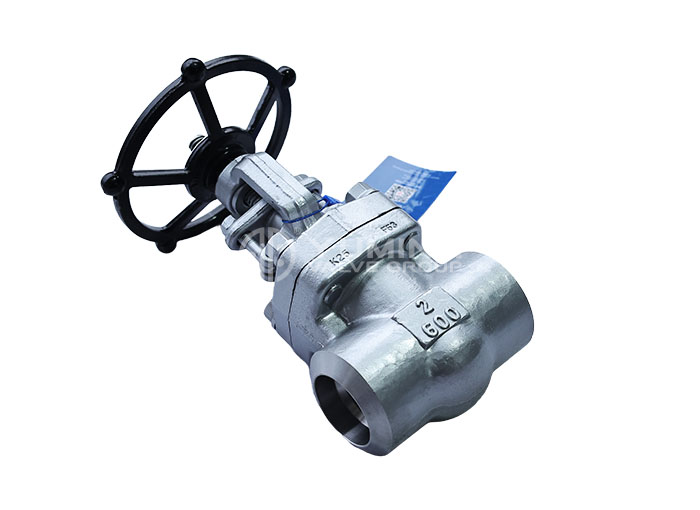 Forged Steel Gate Valve