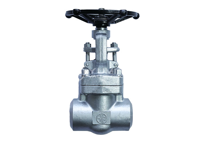 Forged Steel Gate Valve