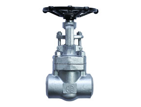 Forged Steel Gate Valve