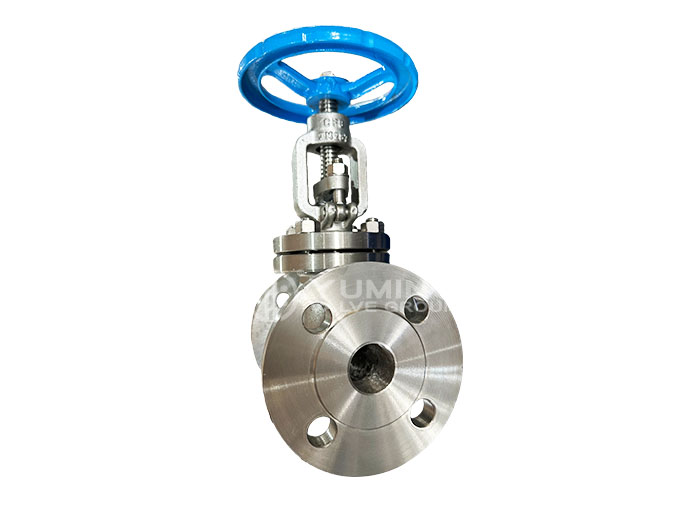 Forged steel valve globe valve