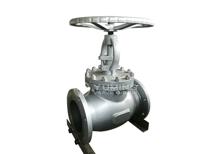 ANSI Globe valve