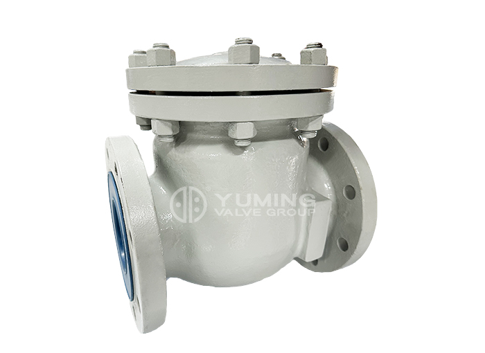 American Standard Check Valve