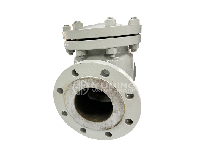 American Standard Check Valve