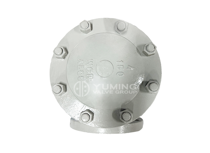 American Standard Check Valve
