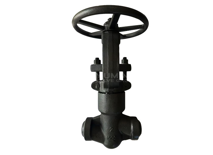 High-pressure self-sealing Globe valve