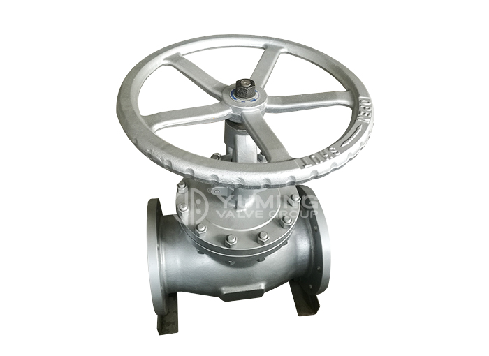 ANSI Globe valve