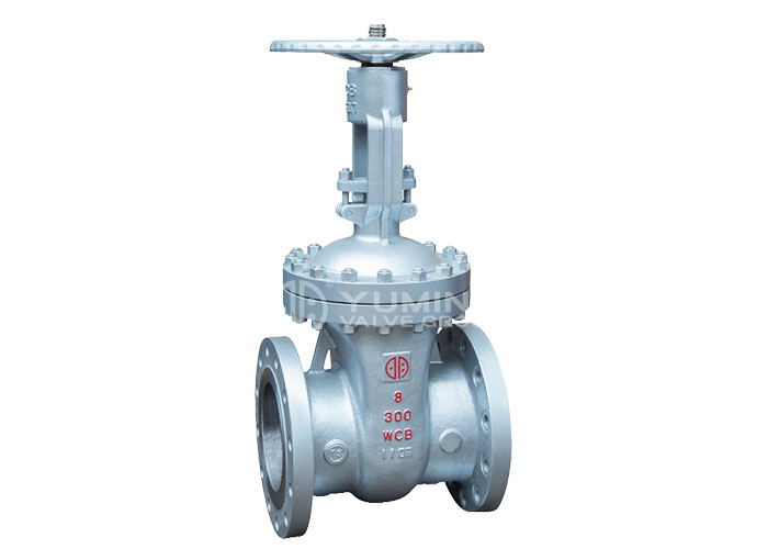 ANSI Gate Valve 