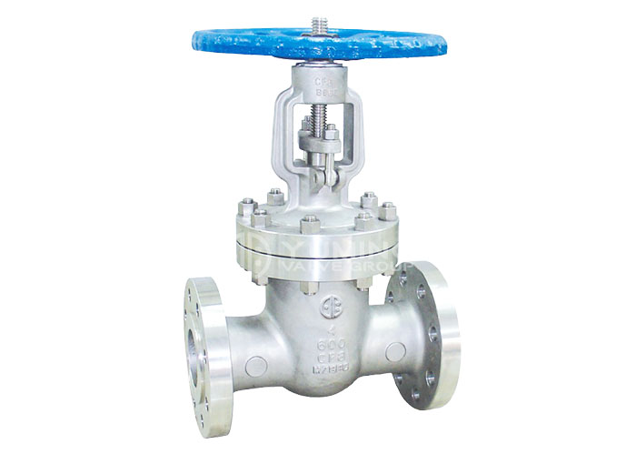ANSI Gate Valve 