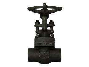Rising stem Forged steel gate valve