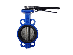 Wafer soft seal butterfly valve