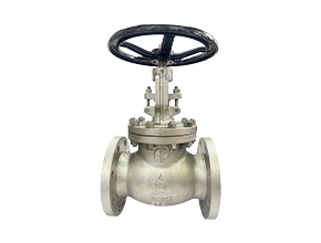 API Standard Globe Valve
