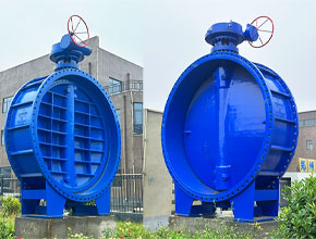  Double Eccentric Butterfly Valve