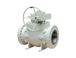 Top Enter Ball Valve