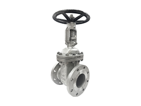 standard DIflange gate valve