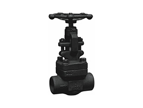 Forged Steel Gate Valve