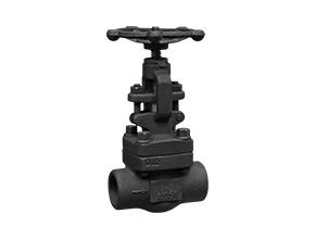 Forged steel welding globe valve