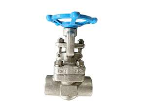F304 socket welding gate valve api 602