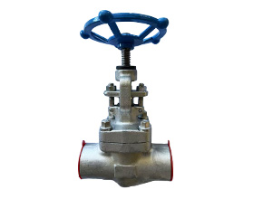 F304/F316 forged steel socket welding stop valve