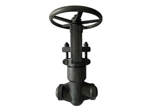 High-pressure self-sealing Globe valve