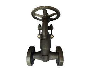 API 602 Forged Steel Pressure Seal Gate Valve A105
