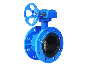 Worm Gear Operated Flange Butterfly Valve