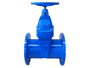 BS5163 DI gland resilient gate valve