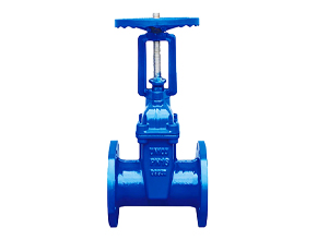 BS5163 Rising stem Resilient soft seal gate valve