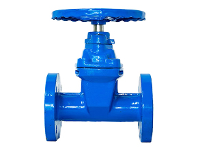 DIN 3352 F5 Resilient Seated Flanged Gate Valve