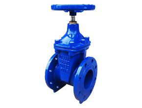 DIN 3352 F4 Resilient Seated Flanged Gate Valves