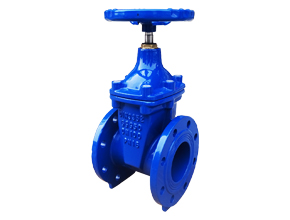 DIN 3352 F4 Resilient Seat Gate Valve