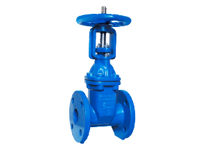 AWWA Resilient Seated Gate Valve