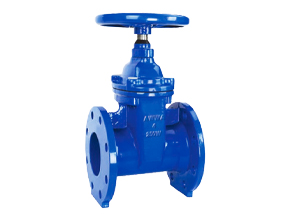 AWWA Resilient Seated Gate Valve