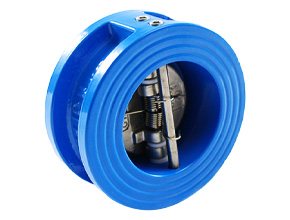 Ductile Iron Check Valve