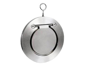 Single Door Check Valve
