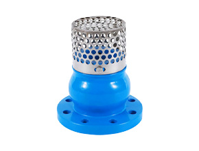  Foot valve Bottom Valve Check valve