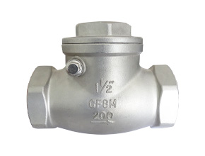 swing thread check valve