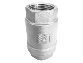 Lift Check Valve