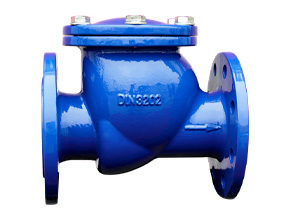 DIN swing cast iron Check Valve for water